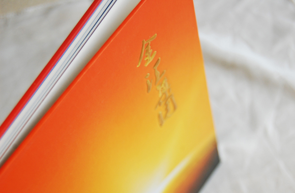 集團(tuán)畫冊(cè)設(shè)計(jì)案例欣賞-3