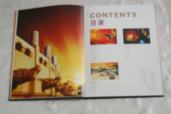 集團(tuán)畫冊(cè)設(shè)計(jì)案例欣賞-4